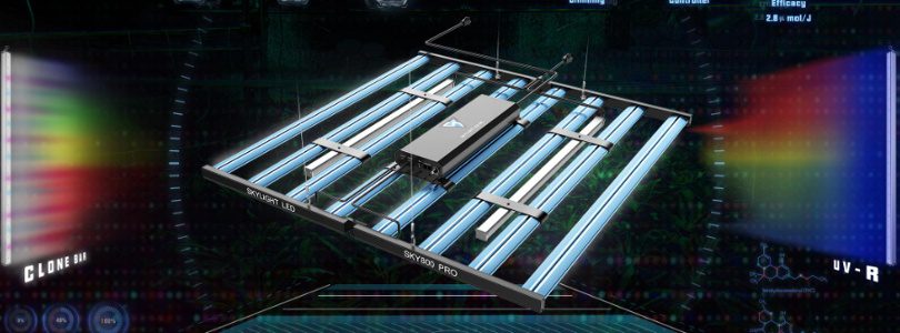 SKYLIGHT LED INC