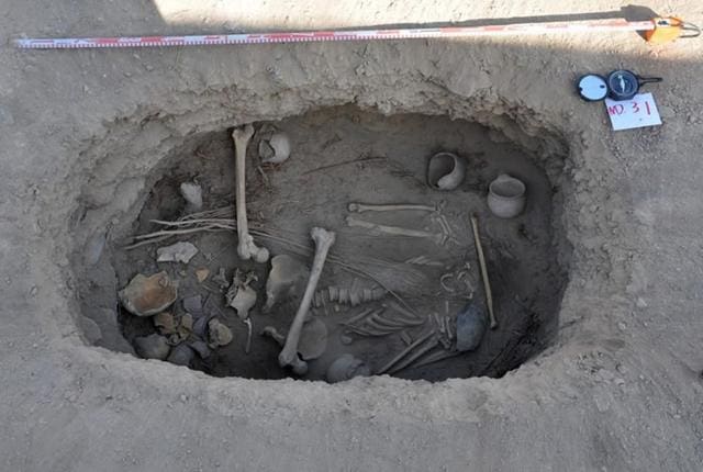 吐鲁番墓葬中发现2700年前的7克整株大麻 保存良好 还可以抽 科百麻大