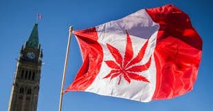 加拿大含大麻食品合法化 料吸引300万新客，大麻食品市场将利润丰厚