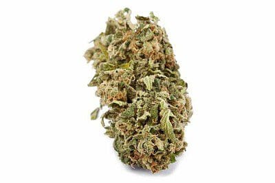牙买加十速大麻（Jamaican Tenspeed）