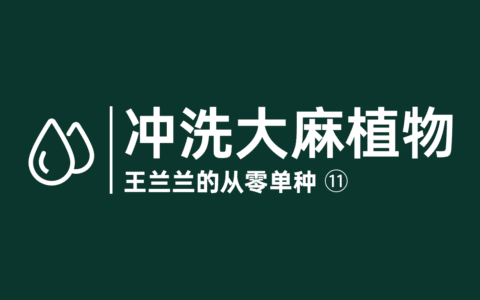 50 修剪大麻中的常见错误 大麻百科