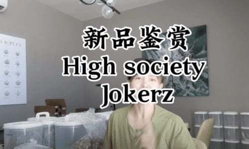 第6期：新品鉴赏High Society和Jokerz