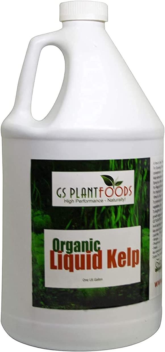 海带肥 Organic Kelp Fertilizer by GS Plant Foods