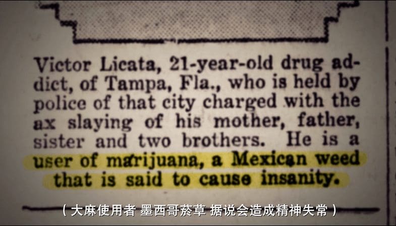 大麻的美国往事(二)