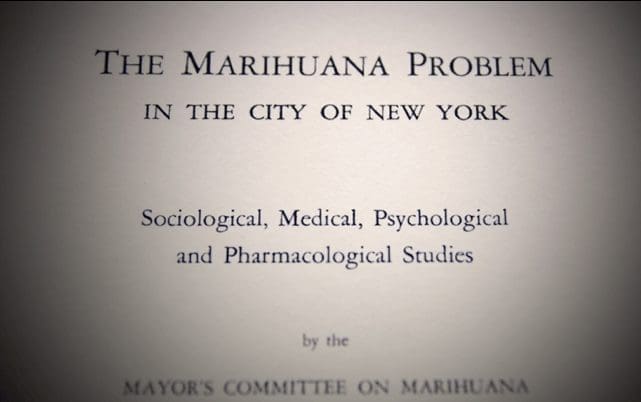 大麻的美国往事(二)