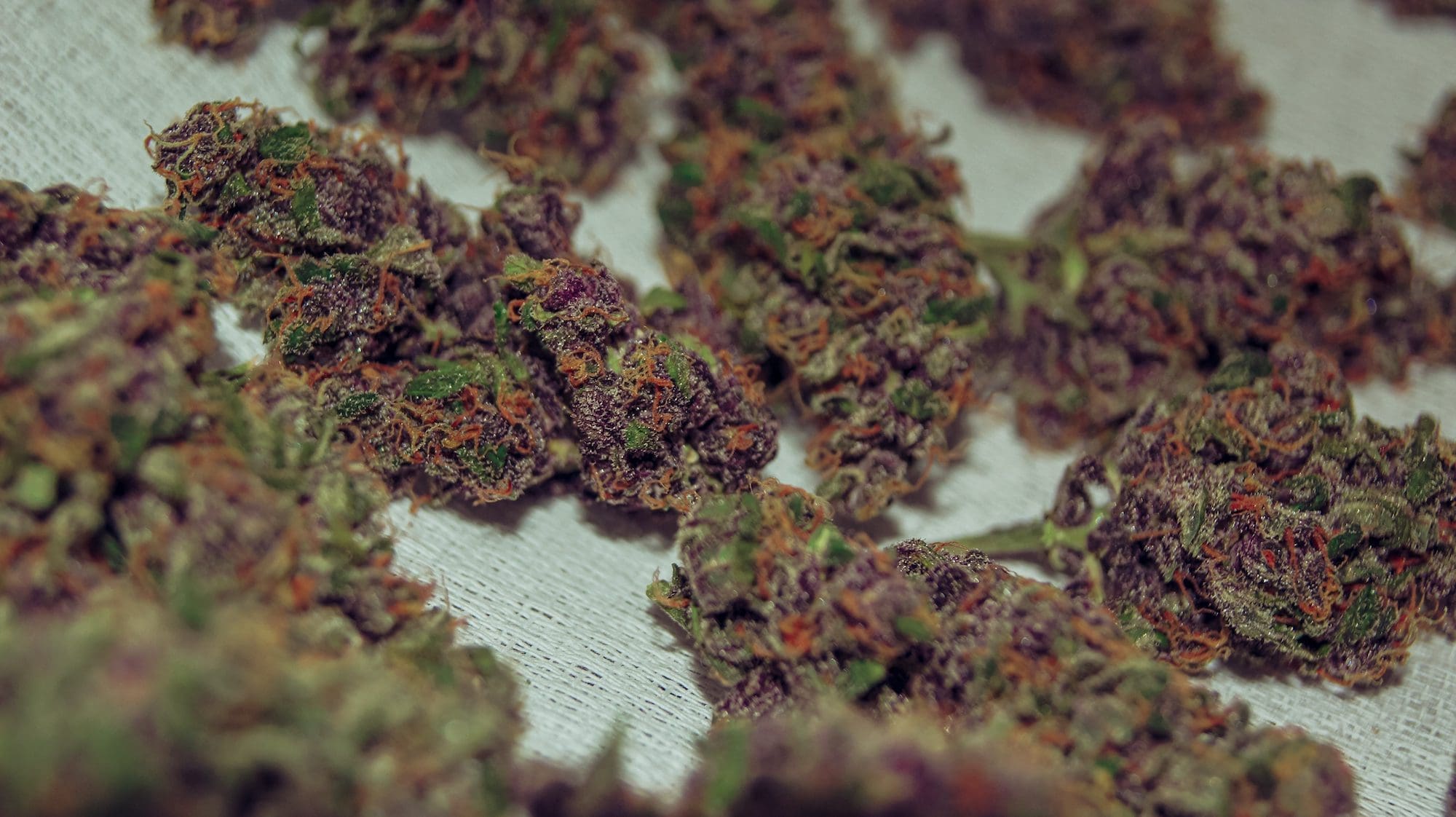 请问何老师:打花的时候花如何变色或变紫