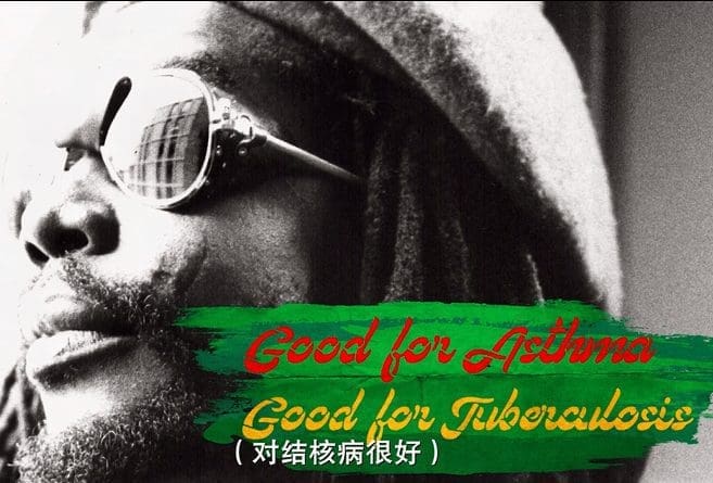 大麻的美国往事(五)