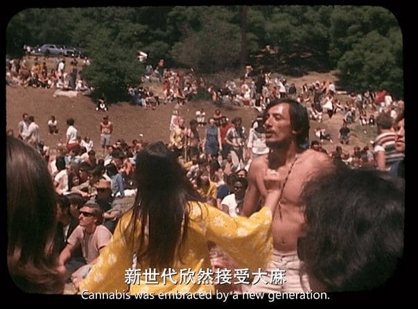 大麻的美国往事(三)