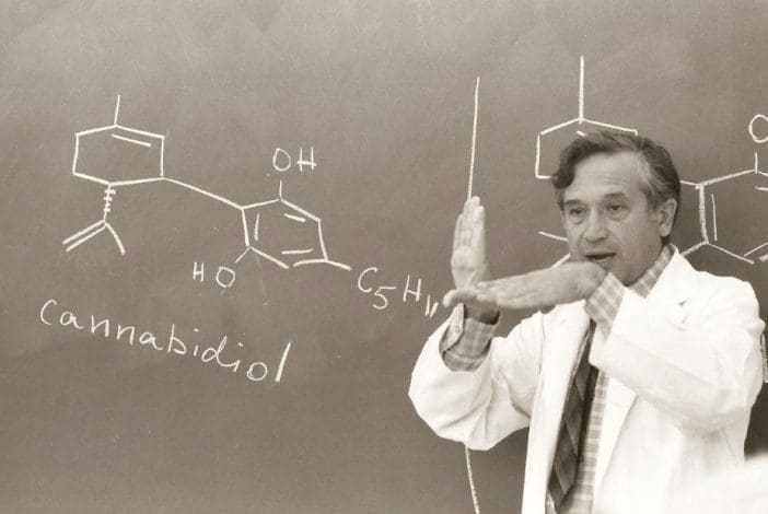 什么是THC?四氢大麻酚的科学指南